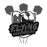 Flying Guschdcha