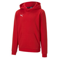 teamGOAL 23 Casuals Hoody