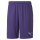 teamGOAL 23 knit Shorts