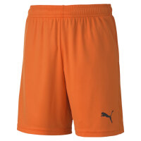 teamGOAL 23 knit Shorts jr