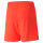 teamLIGA Shorts Jr