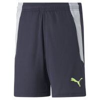 teamLIGA Training Shorts 2