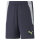 teamLIGA Training Shorts 2