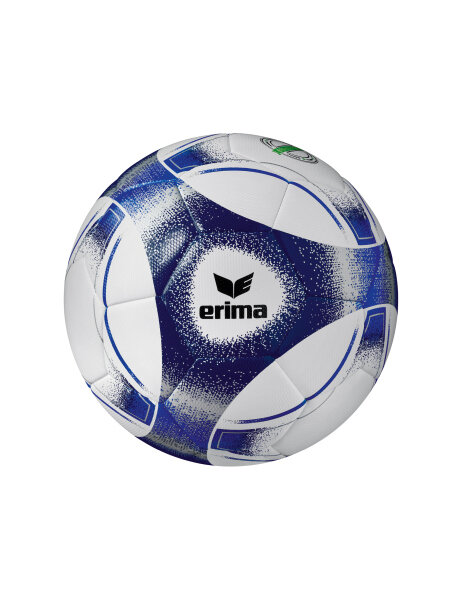 ERIMA Hybrid Training 2.0