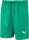 LIGA Shorts Core Jr