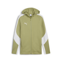 teamEVOSTRIPE Hooded Jacke