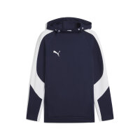 teamEVOSTRIPE Hoody