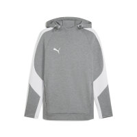 teamEVOSTRIPE Hoody