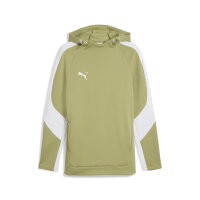 teamEVOSTRIPE Hoody