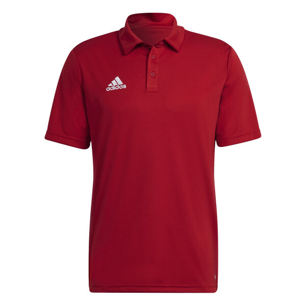 ENT22 POLO
