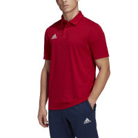 ENT22 POLO