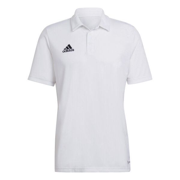 ENT22 POLO