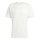 DFB TEE