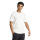 DFB TEE