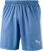 LIGA Shorts