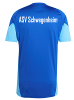 ASV Schwegenheim TIRO25C TR JSY