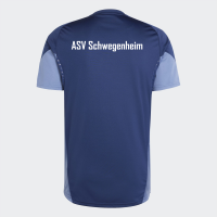 ASV Schwegenheim TIRO25C TR JSY
