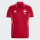 SC Bliesransbach TIRO25C POLO M