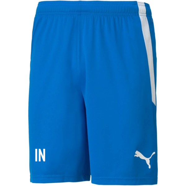 FC Freisen teamLIGA Shorts Blau-XXL
