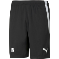 FC Freisen teamLIGA Shorts Schwarz-XL