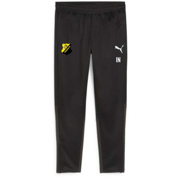 VfB Hassloch teamGOAL Training Pant