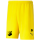 VfB Hassloch teamRISE Short
