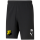 VfB Hassloch teamRISE Short
