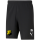 VfB Hassloch teamRISE Short 04-M
