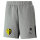 TUS Knittelsheim teamCUP Casuals Shorts