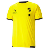 TUS Knittelsheim teamLIGA Jersey