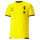 TUS Knittelsheim teamLIGA Jersey