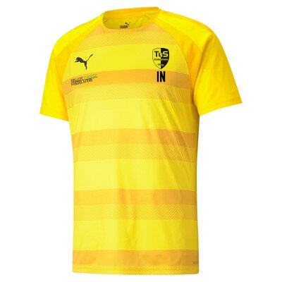 TUS Knittelsheim teamVISION Jersey