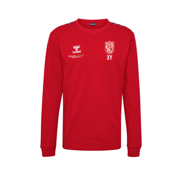TG Waldsee hmlAUTHENTIC CO TRAINING SWEAT