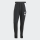 Flying Guschdcha TIRO24 SWPNT XL