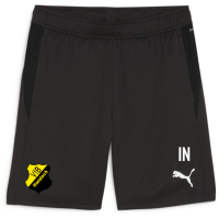 VFB Hassloch teamGOAL Training Short Jr