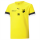 VFB Hassloch teamRISE Jersey Jr