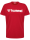 TG Waldsee hmlGO 2.0 LOGO T-SHIRT S/S KID