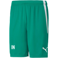 VFR Baumholder teamLIGA Shorts