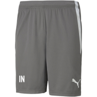 VFR Baumholder teamLIGA Shorts