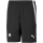 VFR Baumholder teamLIGA Shorts