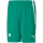 VFR Baumholder teamLIGA Shorts