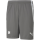 VFR Baumholder teamLIGA Shorts