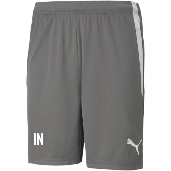 VFR Baumholder teamLIGA Shorts  SMOKED PEARL-PUMA WHITE S