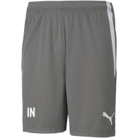 VFR Baumholder teamLIGA Shorts  SMOKED PEARL-PUMA WHITE S