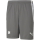 VFR Baumholder teamLIGA Shorts  SMOKED PEARL-PUMA WHITE S