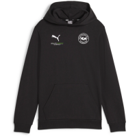 VFR Baumholder teamGOAL Casuals Hooded Ja