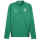 VFR Baumholder teamGOAL Training 1/4 Zip  SPORT GREEN-PUMA WHITE-POWER G-S