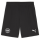 VFR Baumholder teamGOAL Shorts