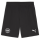 VFR Baumholder teamGOAL Shorts  S