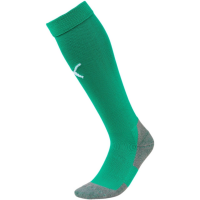 VFR BaumholderTeam LIGA Socks CORE